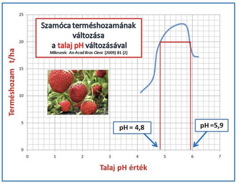 Szamóca terméshozam és talaj pH összefüggése