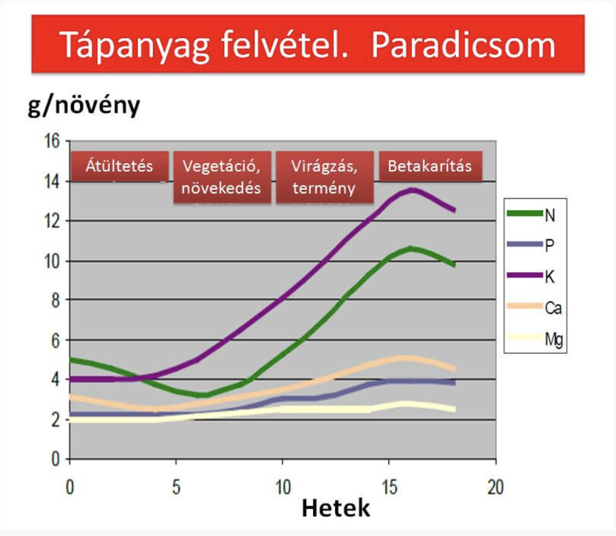 Paradicsom tápanyag felvételi görbéje