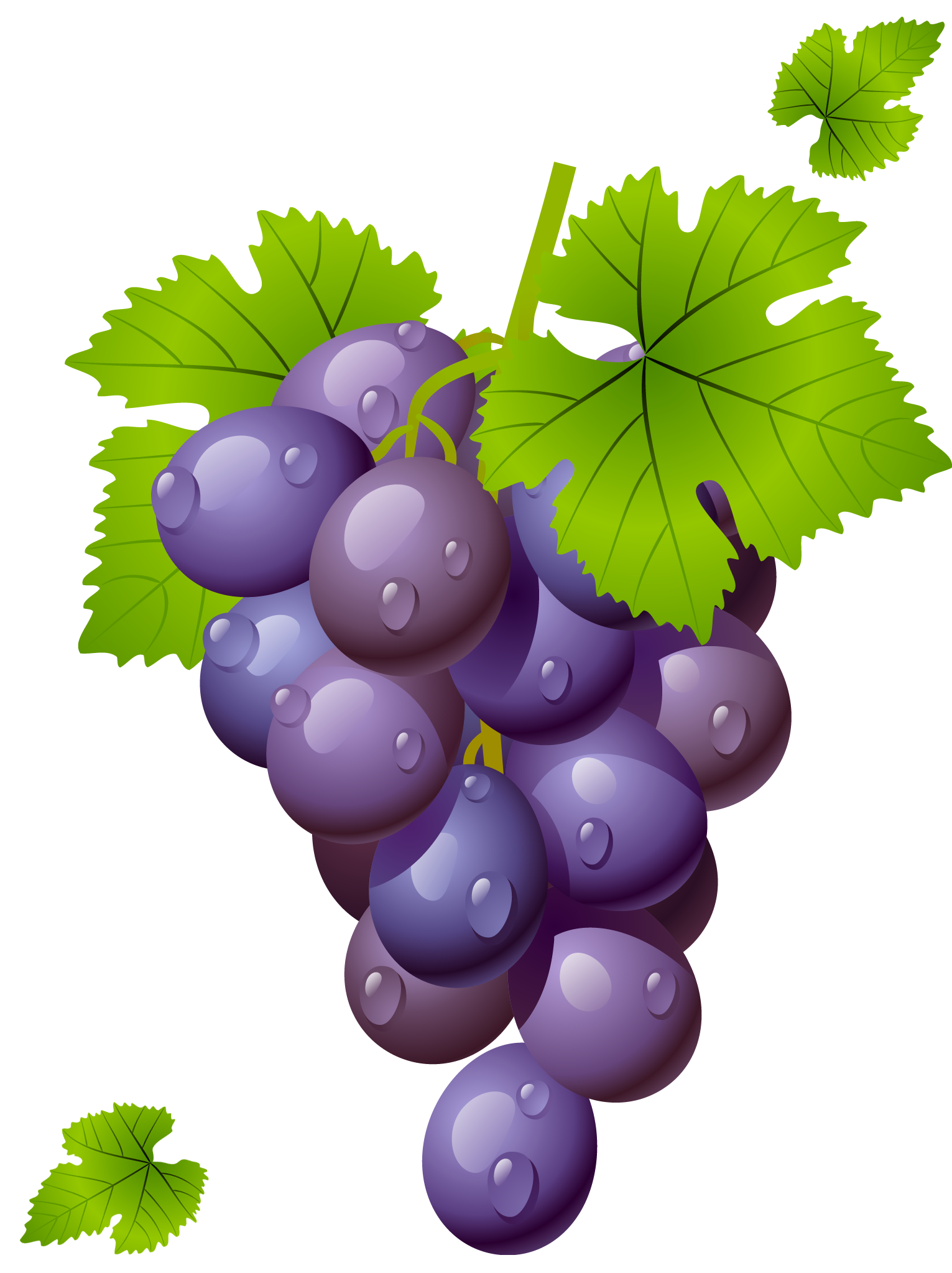 grapes-grape-clipart-grapeclipart-fruit-clip-art-photo-2